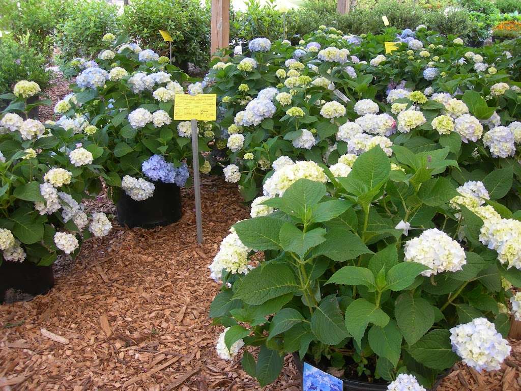 Reynolds Farms Nursery and Country Garden Center | 23 Richards Ave, Norwalk, CT 06854, USA | Phone: (203) 866-5757