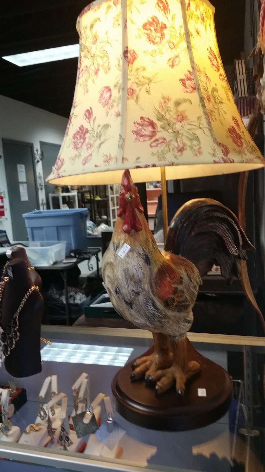 Arizona Humane Society Thrift Store | 13401 N Cave Creek Rd, Phoenix, AZ 85022, USA | Phone: (602) 997-7585 ext. 5312