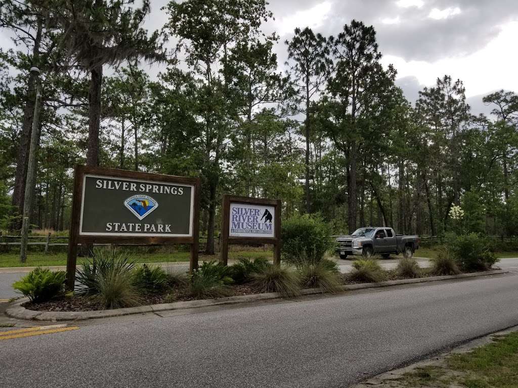 Silver Springs State Park Campground | Silver Springs, FL 34488, USA | Phone: (352) 236-7148