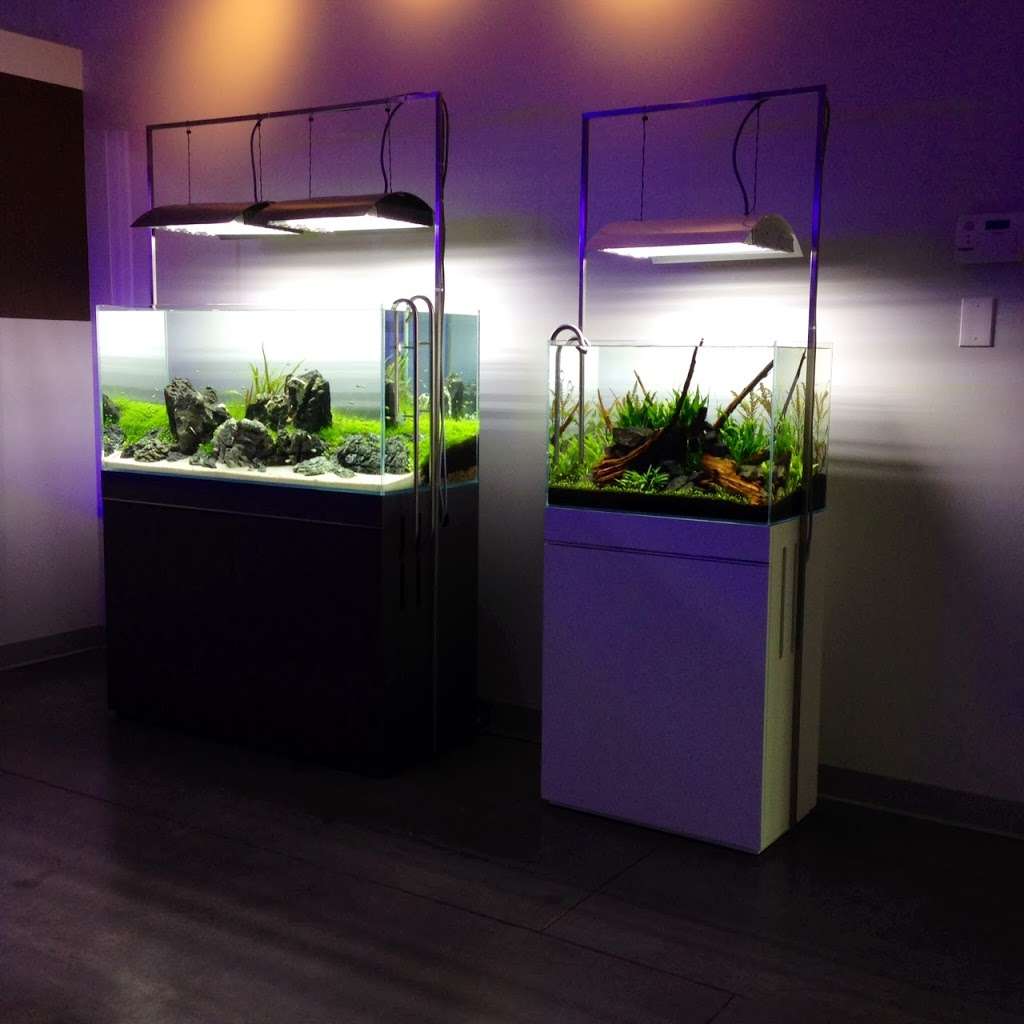 The Aquarium Design Store | 3520 S Sam Houston Pkwy E #100, Houston, TX 77047, USA | Phone: (281) 924-8894