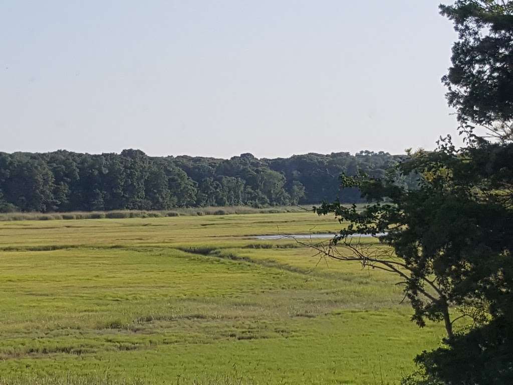 Jerome A. Ambro Memorial Wetland Preserve | Fort Salonga, NY 11768, USA | Phone: (631) 351-3000