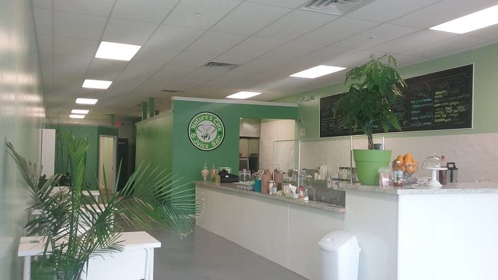 Natures Cafe & Juice Bar | 1672 North Delsea Drive, Suite A6, Vineland, NJ 08360, USA | Phone: (856) 896-6803