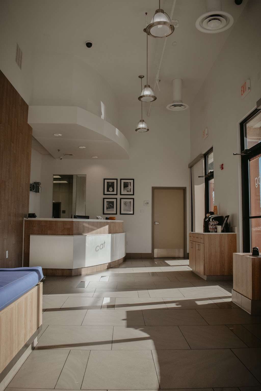Pet Health Animal Hospital | 8520 W Desert Inn Rd, #1, Las Vegas, NV 89117, USA | Phone: (702) 910-4500
