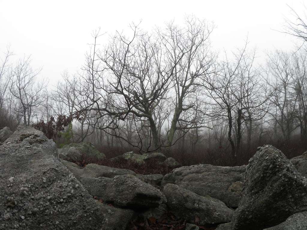 Bears Head Fire Watchtower | Delano, PA 18220, USA