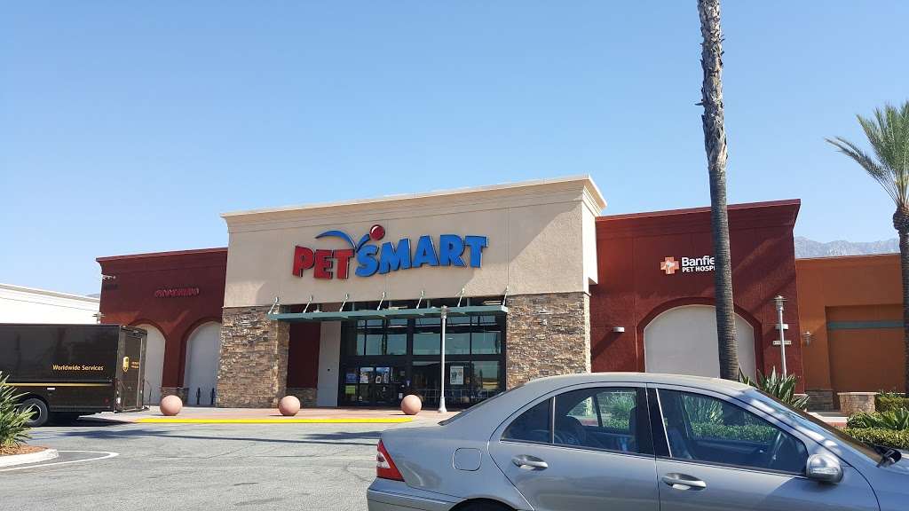 PetSmart | 1935 N Campus Ave, Upland, CA 91784, USA | Phone: (909) 981-4139