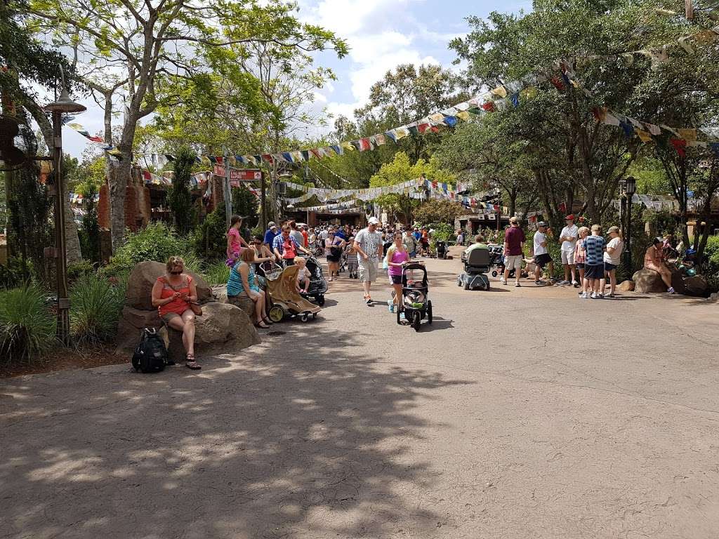 Disneys Animal Kingdom Rehearsal Facility | 3271 Sherberth Rd, Kissimmee, FL 34747, USA