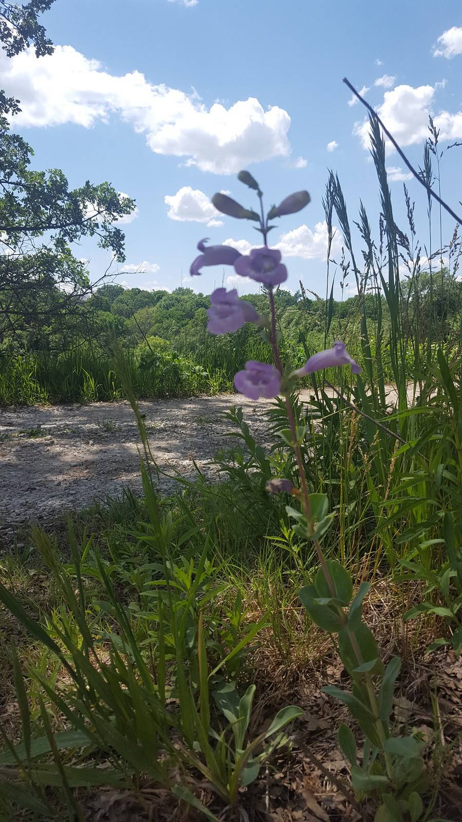 Neale Woods Nature Center | 14323 Edith Marie Ave, Omaha, NE 68112 | Phone: (402) 731-3140