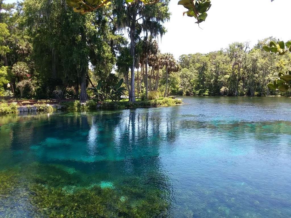 Silver Springs State Park | 5656 E Silver Springs Blvd, Silver Springs, FL 34488, USA | Phone: (352) 261-5840