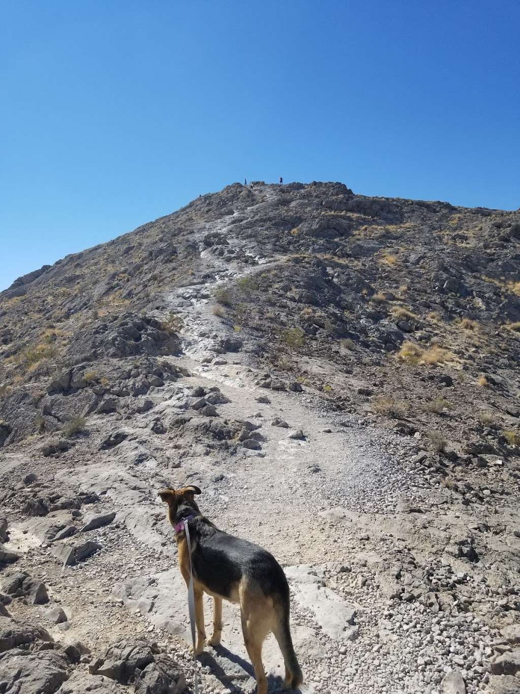 Lone Mountain Peak | Las Vegas, NV 89129, USA