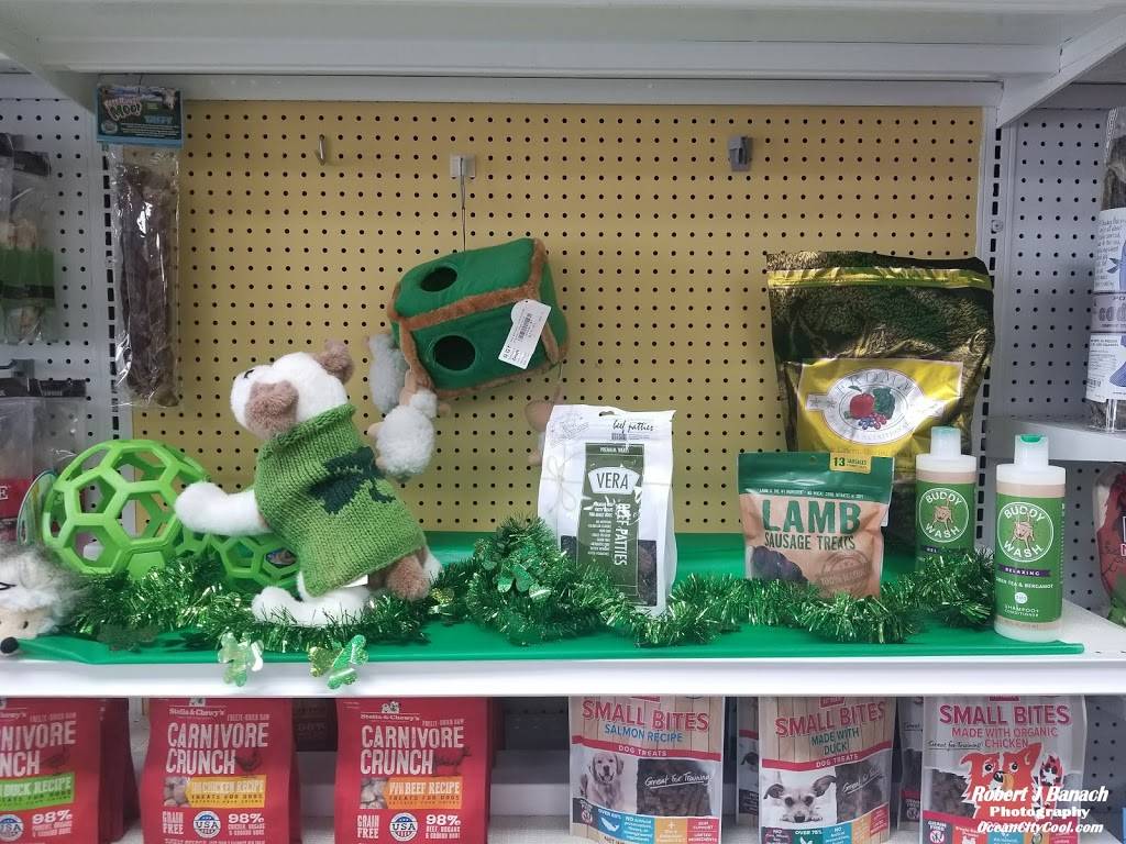 Paws & Claws Etc | 11934 Ocean Gateway #2, Ocean City, MD 21842, USA | Phone: (410) 213-7490