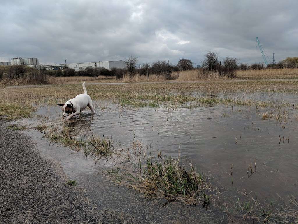 Botany Marshes | Manor Way, Northfleet, Swanscombe DA10 0PP, UK