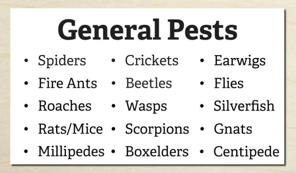 Brady Pest Control | 7315 Vienta Point, Grand Prairie, TX 75054, USA | Phone: (817) 714-5875