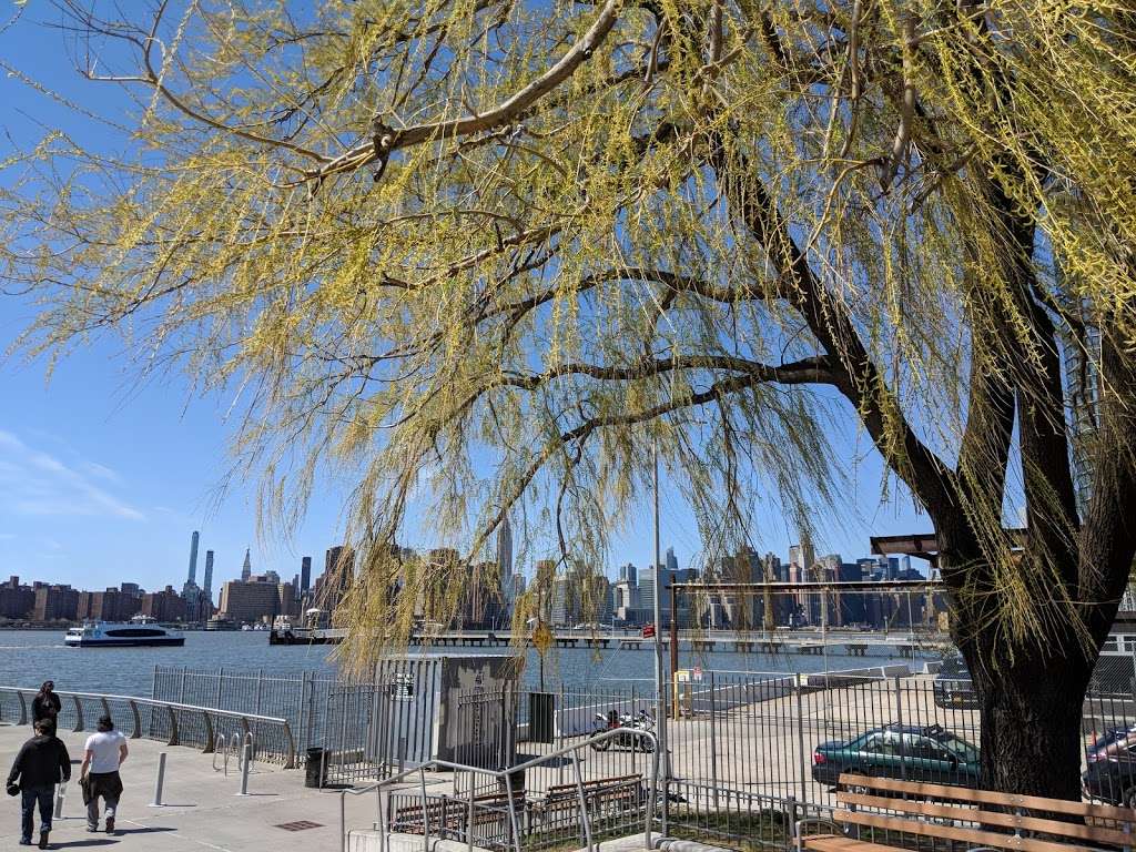 WNYC Transmitter Park | Greenpoint Ave, Brooklyn, NY 11222, USA | Phone: (212) 639-9675