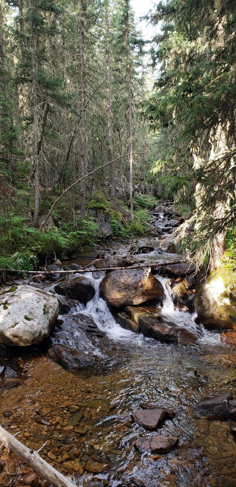 Heart Lake Trailhead | Co Rd 16, Nederland, CO 80466, USA