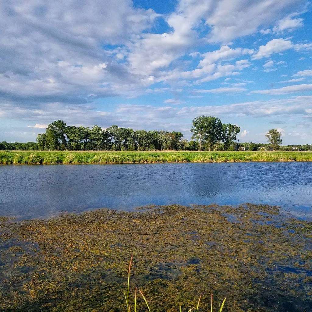 Lyons Prairie and Marsh Conservation Area | 7000 Hickory Nut Grove Rd, Cary, IL 60013, USA | Phone: (815) 338-6223