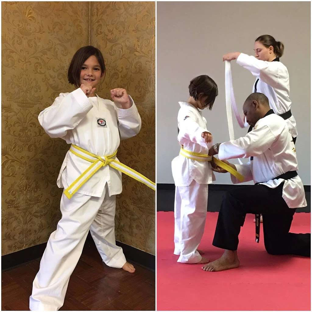 Majestic Taekwondo Academy | 2538 S Cleveland Ave, St Joseph, MI 49085, USA | Phone: (269) 605-7106