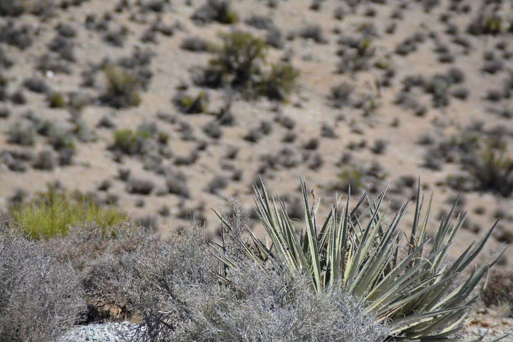 High Point Overlook | Las Vegas, NV 89161, USA