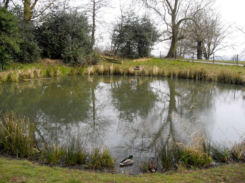 Eaglesfield Park Wildlife Pond | Eaglesfield Rd, London SE18 3DN, UK