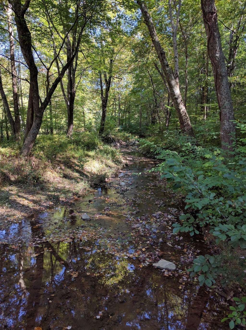 Neabsco Greenway Trail Head | 5800 Portland Dr, Dale City, VA 22193, USA