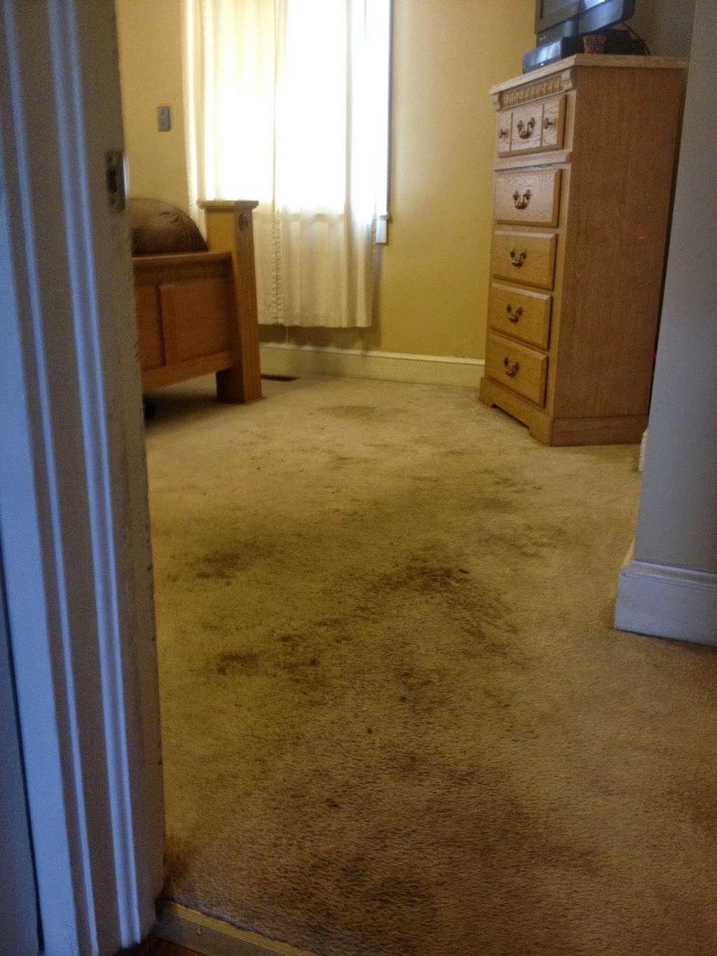 A Plus Carpet Care | 2023 S Potter Rd, Lancaster, SC 29720, USA | Phone: (803) 804-6189