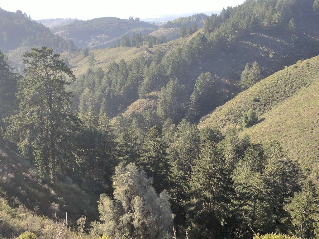 Purisima Creek Redwoods Open Space Preserve | Half Moon Bay, CA 94019, USA | Phone: (650) 691-1200