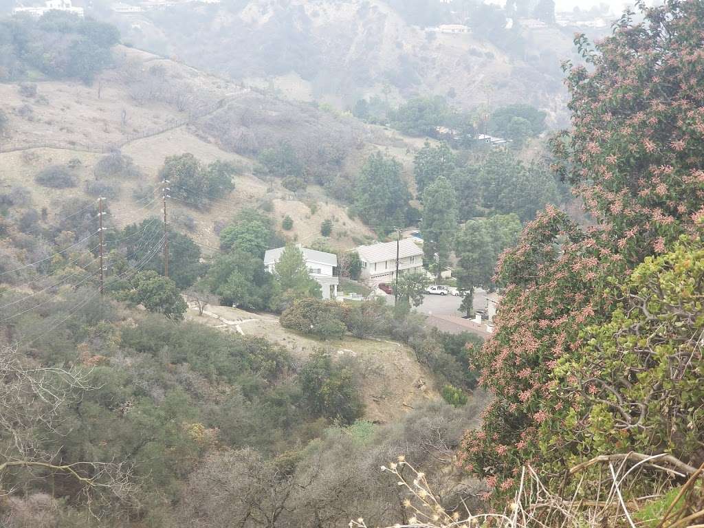 Johnson Overlook | 14851 Mulholland Dr, Sherman Oaks, CA 91403, USA