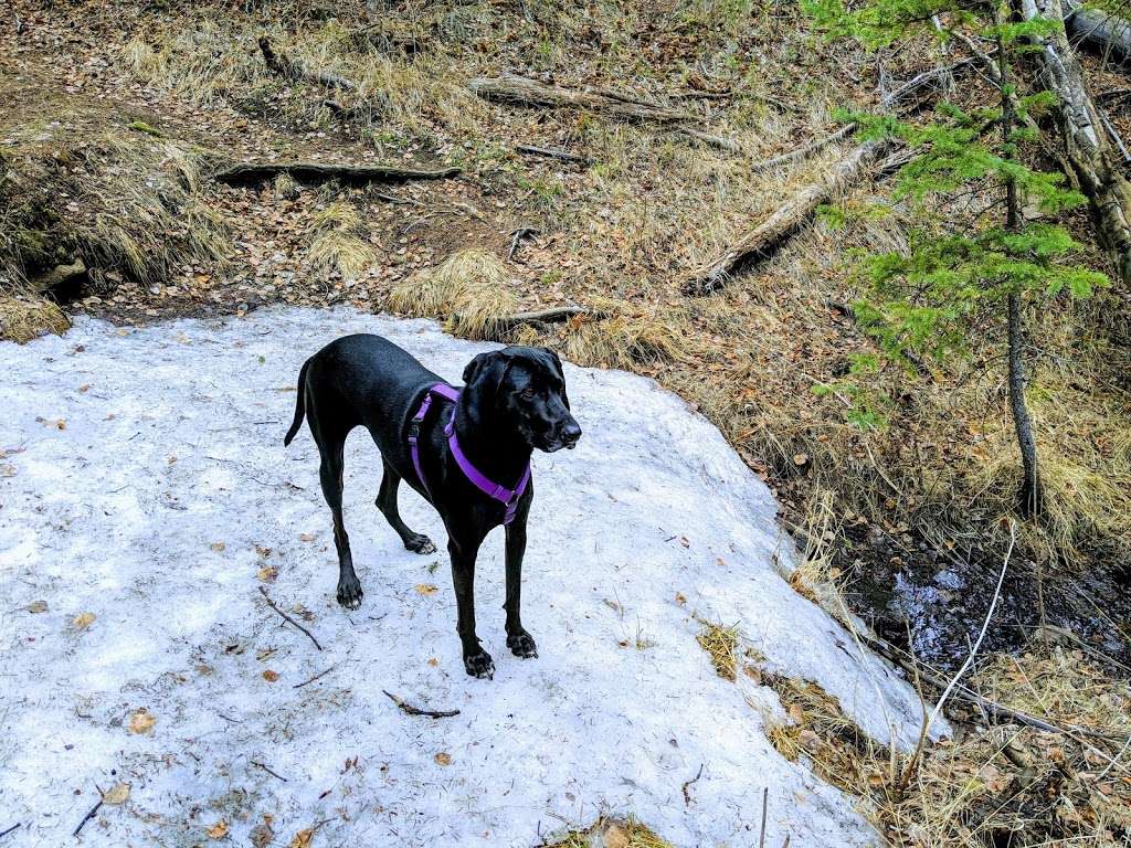 Brookside-McCurdy Trailhead | Bailey, CO 80421, USA