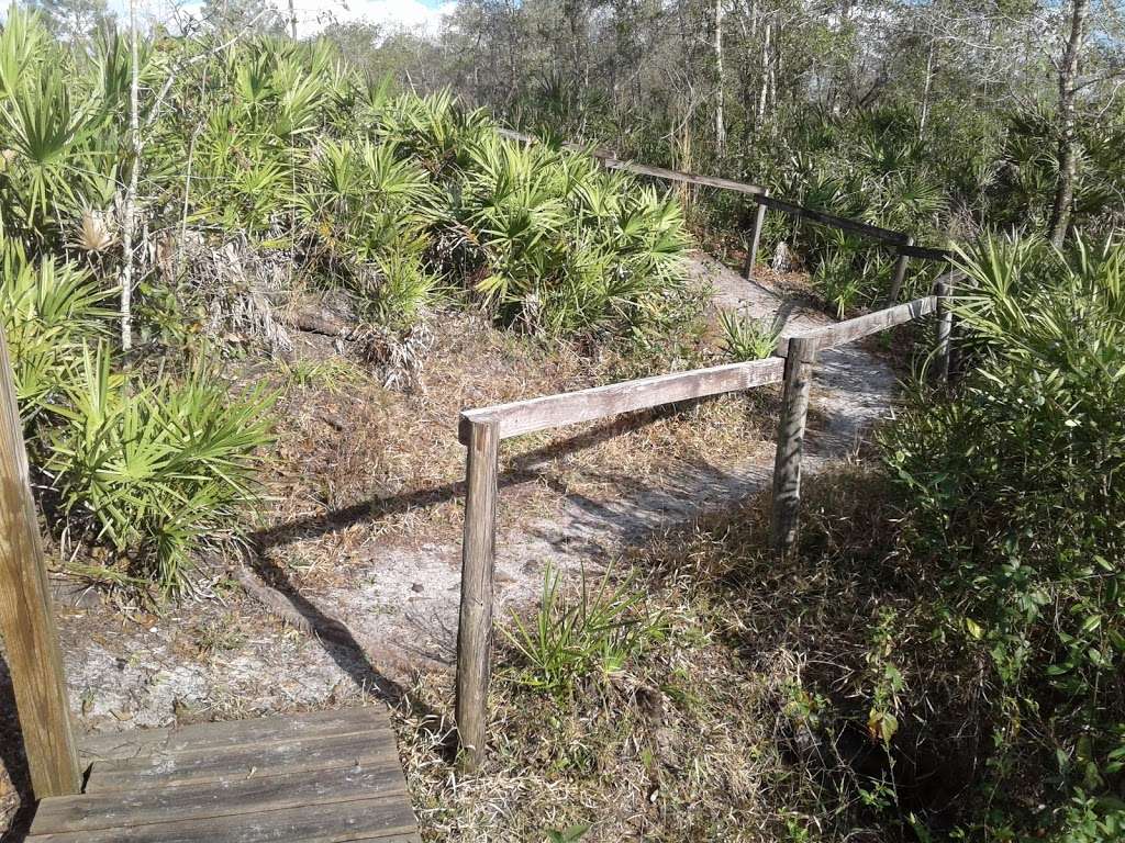 Creek Bluffs Loop Trail, Tiger Creek Preserve | 8373-8399 Wakeford Rd, Lake Wales, FL 33898, USA | Phone: (863) 635-7506