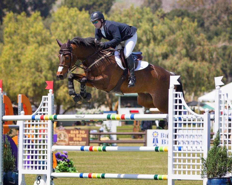 McArdle Equestrian | 16003 Via De Santa Fe, Rancho Santa Fe, CA 92067, USA | Phone: (949) 302-9984