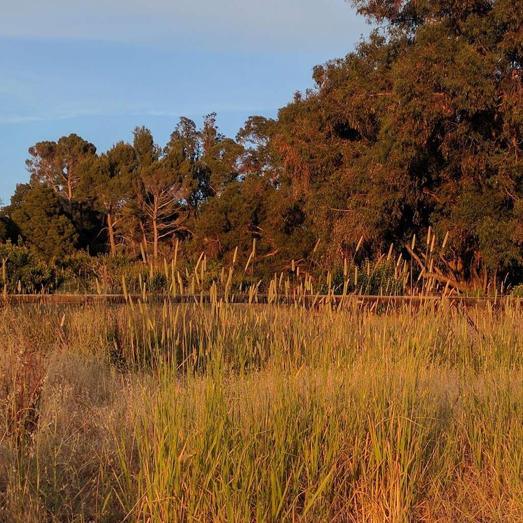 Esther Clark Park | Old Adobe Rd, Palo Alto, CA 94306, USA | Phone: (650) 329-2423