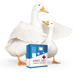 Bobbi Bird - Aflac Insurance Agent | 6706 Farmstead Ln, Fredericksburg, VA 22407, USA | Phone: (540) 841-4394