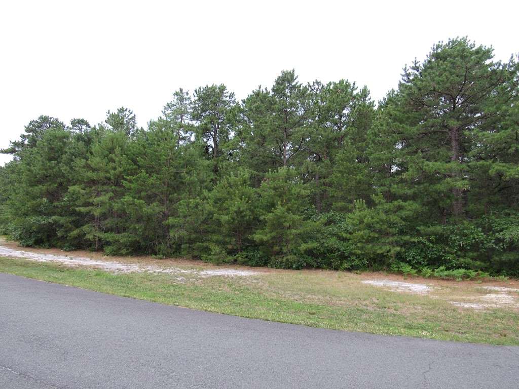 Whispering Pines Park | 8 Bakoua Ct, Toms River, NJ 08757, USA