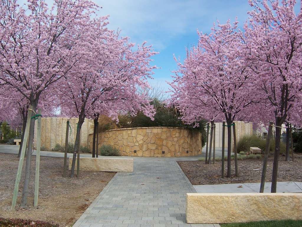 Congregation Shir Hadash | 20 Cherry Blossom Ln, Los Gatos, CA 95032, USA | Phone: (408) 358-1751