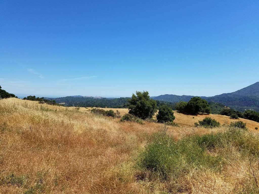 Sorich Ranch Park | San Anselmo, CA 94960, USA