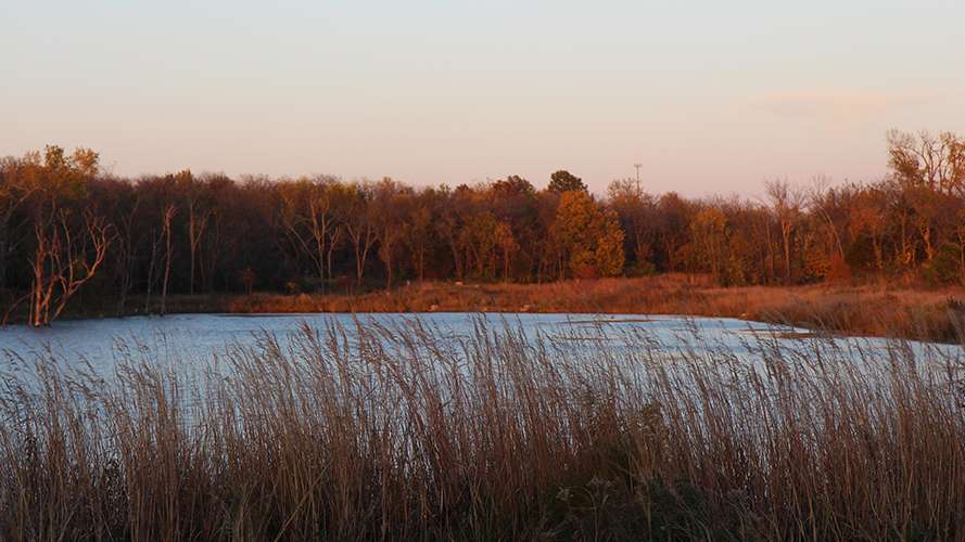 Cedar Station Park - Mize Lake | Prairie Star Pkwy, Lenexa, KS 66227, USA | Phone: (913) 477-7100