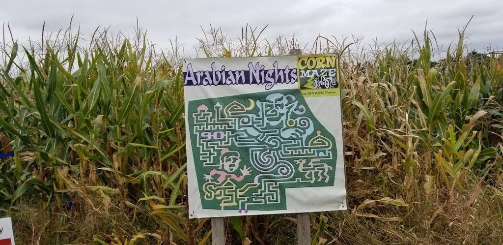 Marini Farm Corn Maze (Closed for Season) | 259 Linebrook Rd, Ipswich, MA 01938 | Phone: (978) 356-0430