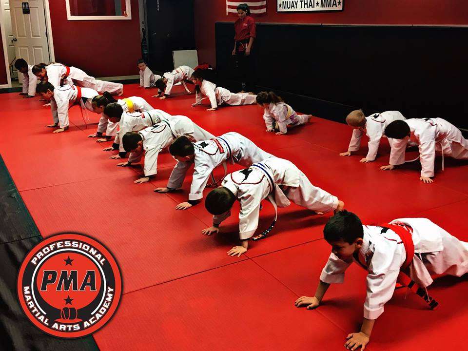 Tim Barchards Professional Martial Arts Academy - Windham | 58 Range Rd, Windham, NH 03087, USA | Phone: (603) 893-7990