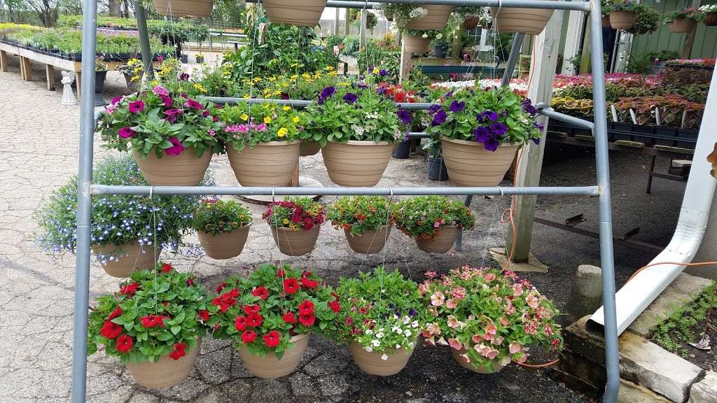 Busy Bs Garden Center | W7449 Co Rd X, Delavan, WI 53115, USA | Phone: (262) 749-3030