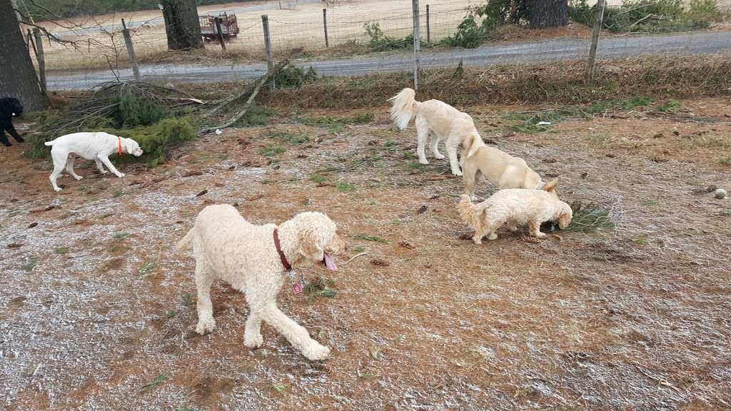 Wrentham Dog Park | Wrentham, MA 02093, USA