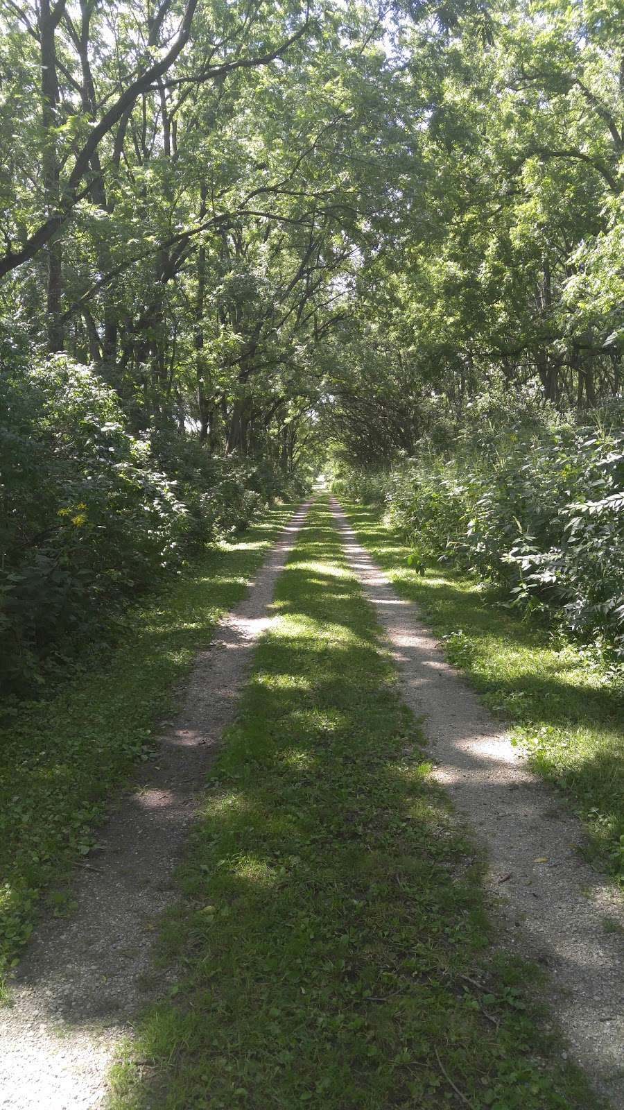 Wauponsee Glacial Trail - Symerton Access | 18268 W Commercial St, Wilmington, IL 60481, USA