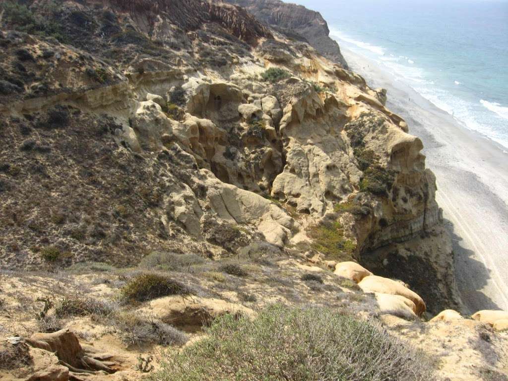 North End Blacks Beach | 12600 N Torrey Pines Rd, La Jolla, CA 92037, USA