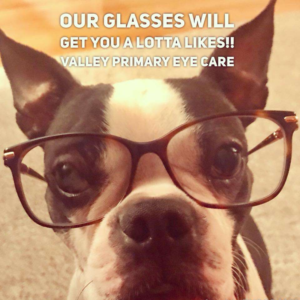 Valley Primary Eye Care LLC | 1088 Howertown Rd, Catasauqua, PA 18032, USA | Phone: (610) 264-4664