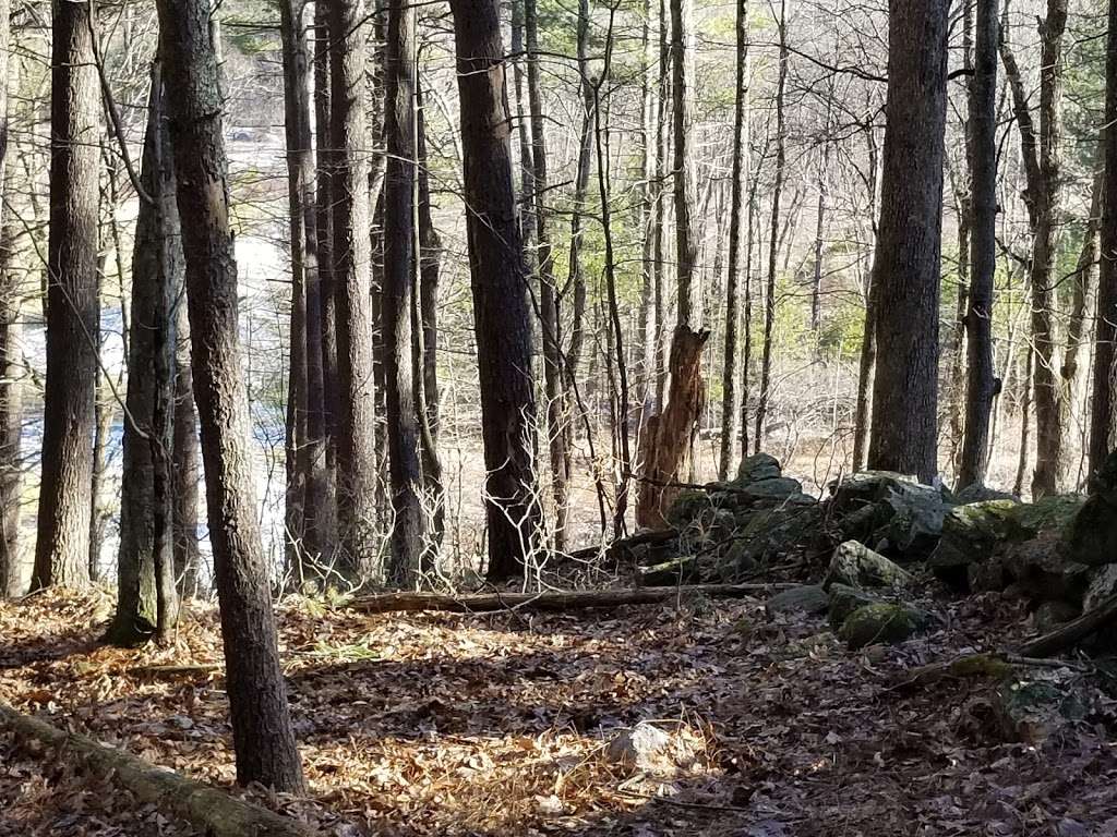 Green Street Conservation Trailhead | NBOR-026.0-0003, Northborough, MA 01532, USA