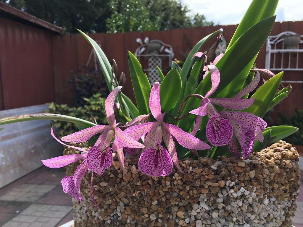 Good Shepherd Hospice | 3470 Lakeland Hills Blvd, Lakeland, FL 33805, USA | Phone: (863) 682-0027