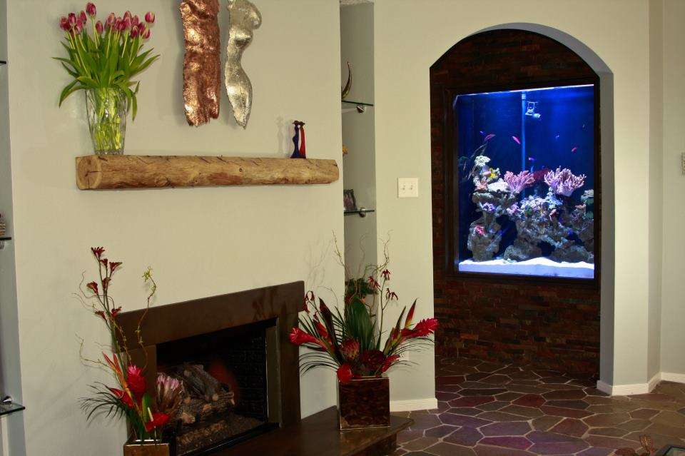 Exotic Reef Designs | 11115 Mills Rd # 110, Cypress, TX 77429, USA | Phone: (832) 594-0369