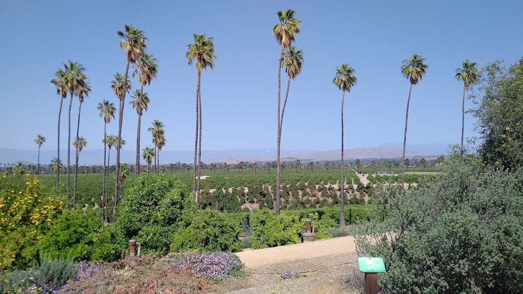 California Citrus State Historic Park Visitor Center | 1999 Van Buren Boulevard, Riverside, CA 92503, USA | Phone: (951) 780-6222