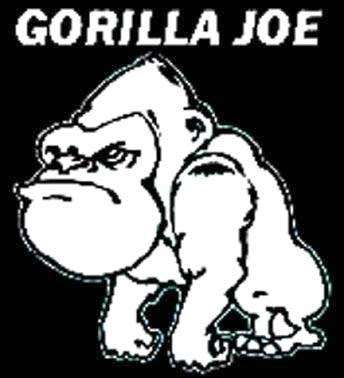 Gorilla Joe Home Repairs | 901 Meade St, Dunmore, PA 18512, USA | Phone: (570) 341-5857