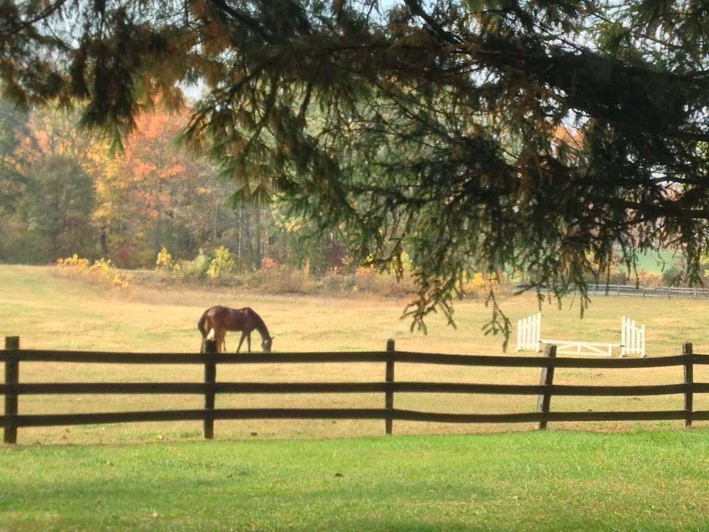 Pond View Stables | 9529 Lees Mill Rd, Warrenton, VA 20186, USA | Phone: (540) 878-0691