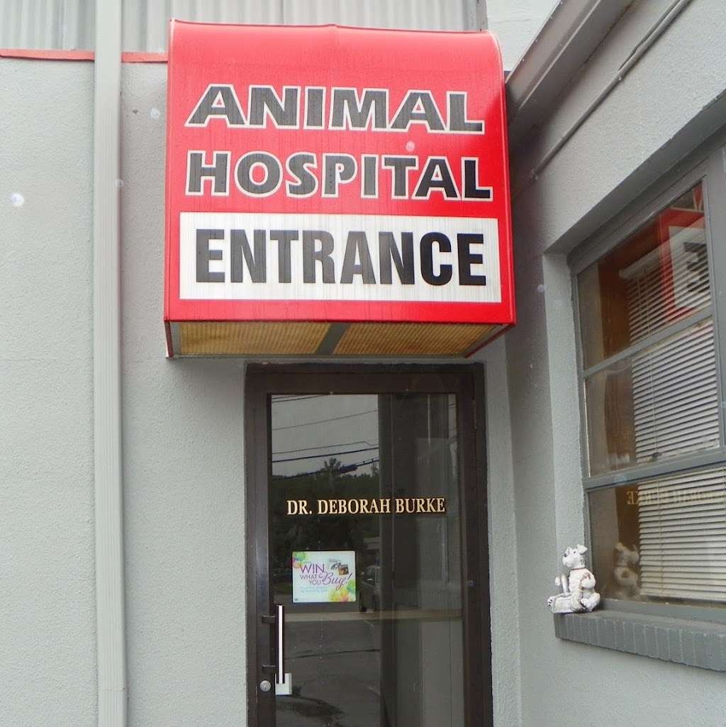 All Creatures Great & Small Animal Hospital | 238 Passaic Ave, Fairfield, NJ 07004 | Phone: (973) 575-0020