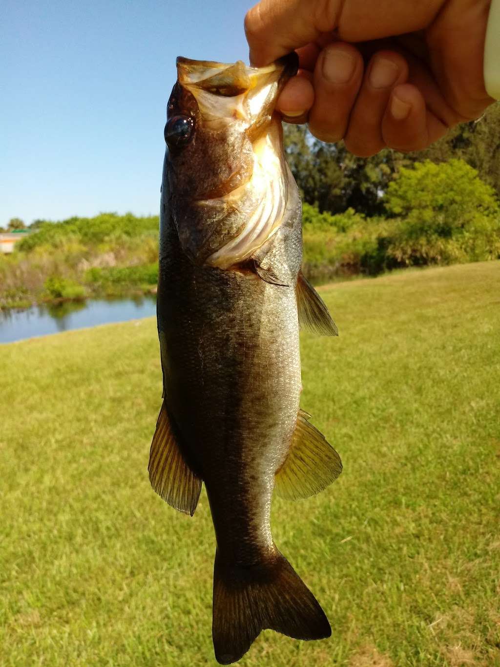 Kitching Creek Preserve | 6125 SE 138th St, Hobe Sound, FL 33455, USA